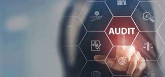 Audit interne: méthodologie, outils et évaluation