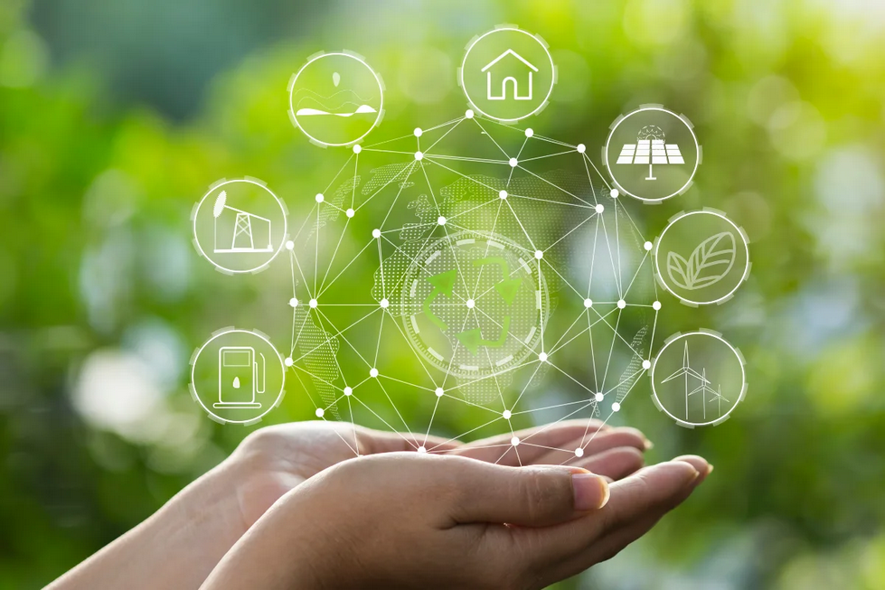 Réaliser une étude d’impact environnemental