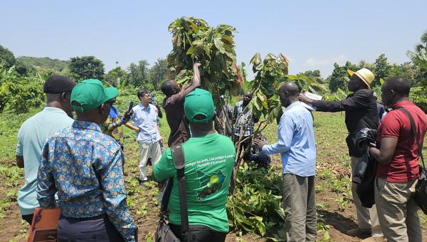 Intégration du changement climatique dans la planification et la budgétisation du développement