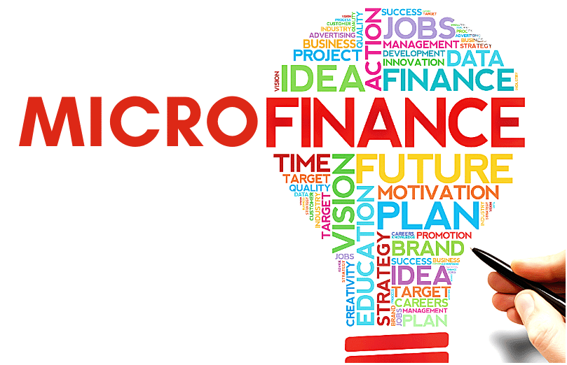 Les fondamentaux de la micro finance