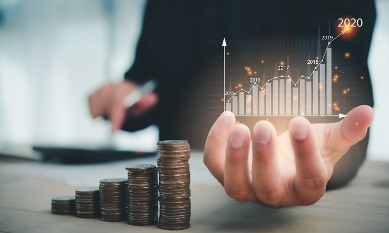 Programmation des investissements publics et budgets de programmes